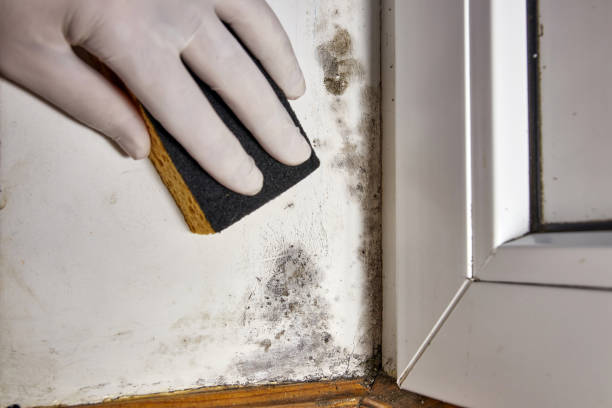 Best Forensic Mold Investigation  in Atlanta, GA