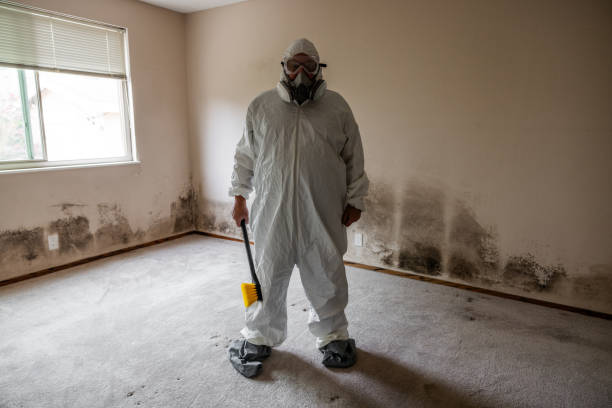 Best Mold Odor Removal Services  in Atlanta, GA